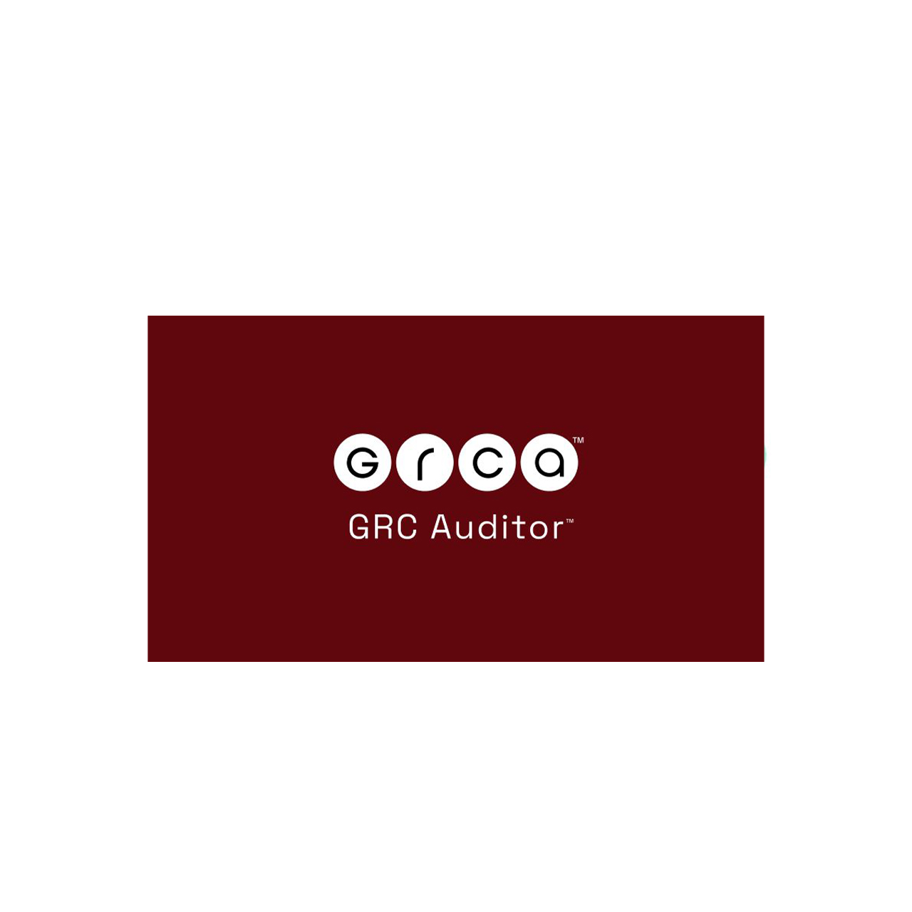 Auditor